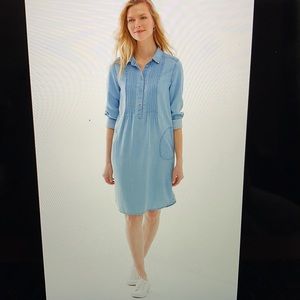 J.Jill Pintucked Shirtdress